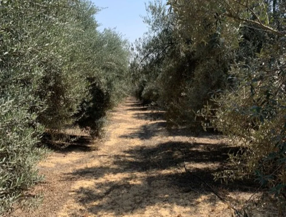 طرق الخدمة والوصول وإدارة العمليات